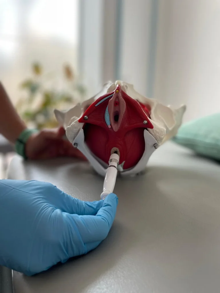 Fisioterapia de suelo pélvico en Centro Spiral, Aguadulce (Almería)